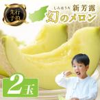 幻のメロン 新芳露 2玉
