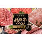 ふるさと納税 【定期便】A5 飛騨牛 5回 定期便 計 2.9kg 5ヶ月 食べ比べ A5等級 5等級 a5 牛肉 肉 和牛 国産牛 黒毛和牛 焼肉 すき焼き しゃぶし.. 岐阜県本巣市