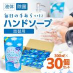 除菌ハンドソープ 300ml×30個
