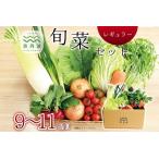 京丹波 旬菜セット レギュラー 9~11品目