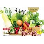 京丹波 旬菜セット プレミアム 10~12品目