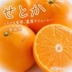 ご 訳あり 紀州和歌山産 せとか 約5kg