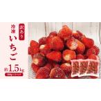 訳あり 冷凍 いちご 約1.5kg
