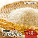 きぬむすめ 特Aランク 白米 令和7年産