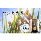 減農薬コシヒカリ 玄米 5kg