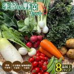 無農薬 季節の野菜セットL 約6kg