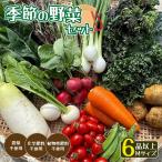 無農薬 季節の野菜セットM 約4kg