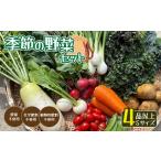 無農薬 季節の野菜セットS 約2kg