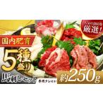 ふるさと納税 本場 熊本 馬刺し 豪華 5種盛り約250g(50g×5P)専用タレ付き | 馬刺 馬刺し 赤身 霜降り 肉 馬肉 お肉 刺身 生肉 熊本県 玉.. 熊本県玉名市