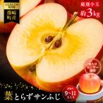 葉とらず サンふじ 厳選 小玉 約3kg