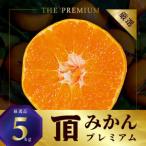 ふるさと納税 三代目の頂みかんTHEプレミアム【小玉サイズ】5kg【C31-19】【1088576】 愛媛県八幡浜市