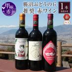 ワイン 勝沼ぶどうの丘推奨 赤ワイン ライトボディ 1本