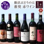 ワイン 勝沼ぶどうの丘推奨 赤ワイン フルボディ 1本