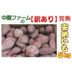 ショッピングふるさと納税 訳あり ふるさと納税 中園ファーム の 【訳あり】 完熟 安納いも 5ｋｇ　NFN401 【200pt】  鹿児島県西之表市