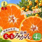 ボリューム満点 秀優品 大玉 温州みかん 4kg