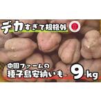 中園ファーム 種子島 安納いも 規格外 特大サイズ 9kg