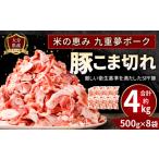 027-1056 ブランド豚 米の恵み 九重夢ポーク