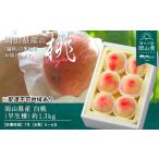 ふるさと納税 桃 2026年 先行予約 白桃 早生種 約1.3kg 5〜6玉 もも モモ 岡山県産 国産 フルーツ 果物 ギフト 岡山県玉野市