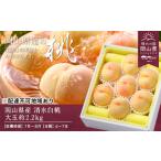 ふるさと納税 桃 2026年 先行予約 清水白桃 約2.2kg 大玉 6〜7玉 もも モモ 岡山県産 国産 フルーツ 果物 ギフト 岡山県玉野市