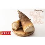 fu.... налог Ibaraki префектура склон восток город производство утро .. побеги бамбука примерно 2kg(2~3 шт. входит )* рис .. имеется No.708 Ibaraki префектура склон восток город 