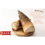 fu.... налог Ibaraki префектура склон восток город производство утро .. побеги бамбука примерно 3kg(2~4 шт. входит )* рис .. имеется No.709 Ibaraki префектура склон восток город 