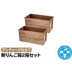 新りんご箱2箱セット アンティーク仕立て