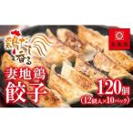 ブランド地鶏 妻地鶏 ぎょうざ詰合せ45 120個