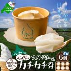 ソフトクリーム カチカチ君 6個