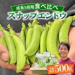 スナップエンドウ サイズ違い 食べ比べセット 100g