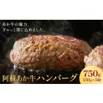 阿蘇あか牛ハンバーグ 750g