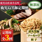 無添加鹿児島黒豚だらけの定期便 炭火焼豚 400g