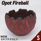 陶芸家セキグチタカヒトの植木鉢 Opot