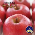 MS14 りんご サンふじ 秀品 約3kg