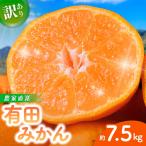 有田みかん 約7.5kg