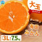 極早生みかん こだわりの極早生みかん 約7.5kg