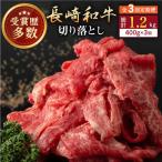 長崎和牛 切り落とし 約400g