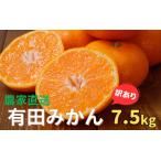 農家直送 有田みかん 約7.5kg