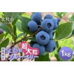 fu.... налог [2026 год отправка предшествующий предварительный заказ ][ супер крупный ] Yamanashi префектура производство ( Akira . производство ) сырой . голубика 1,000g время ограничено нет пестициды фрукты сырой плоды Yamanashi префектура север . город.. Yamanashi префектура север . город 