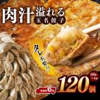 玉名餃子 120個