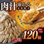 玉名餃子 120個