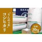 産コシヒカリ 白米20kg 5kg×4袋