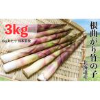 たけのこ 3kg