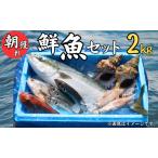 鮮魚セット 2kg
