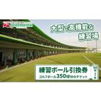 ゴルフ場 練習 ボール 350球 引換券 平日