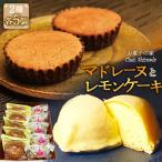 No.404 マドレーヌとレモンケーキ 10個入り