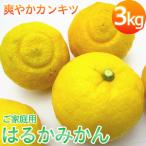 みかん 訳ありみかん はるか