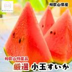 農家直送 小玉すいか Mサイズ 2玉入り