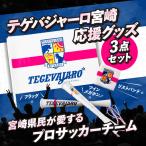 テゲバジャーロ宮崎 応援グッズ3点セット