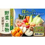 全3回 野菜定期便 果物 野菜セット