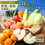 野菜定期便 6回 大村産野菜 果物